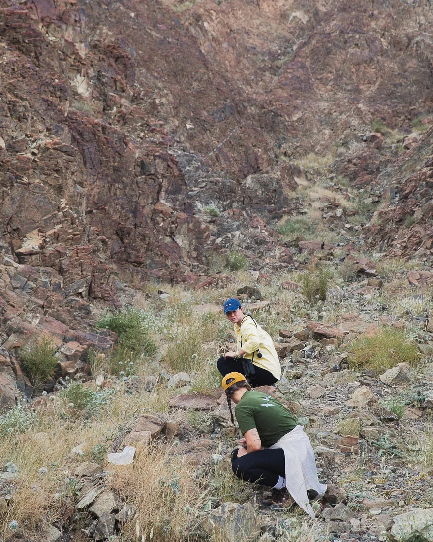 BioConserve ecologists conducting fieldwork in a wadi