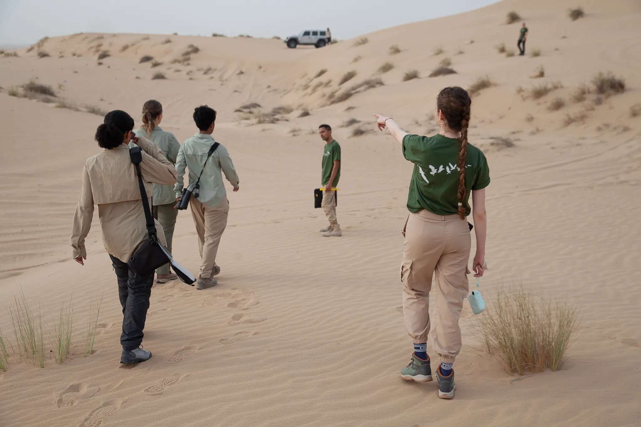 BioConserve ecologists surveying in the field