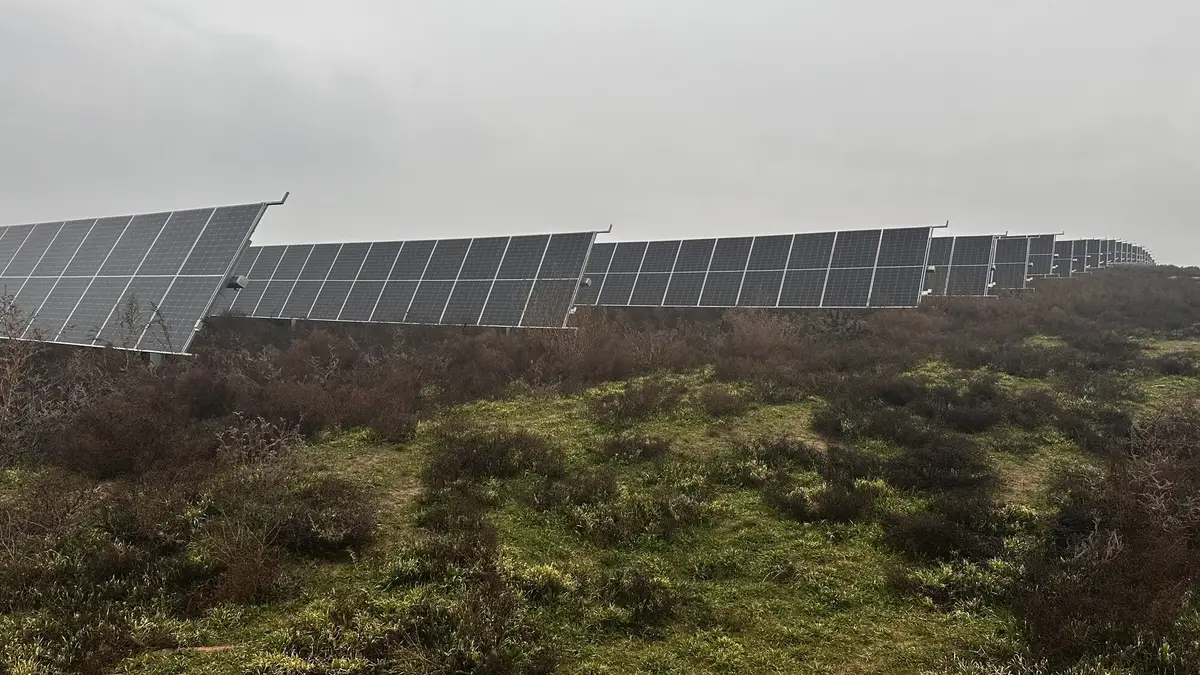 445MW Bilasuvar Solar PV Project and 315MW Neftchala Solar PV Project — project cover image