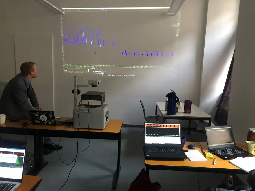 Training & Capacity Building — BioConserve
